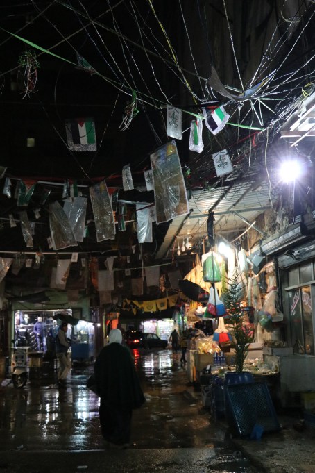 Baddawi Dec2016- Jan2017 007 (3)