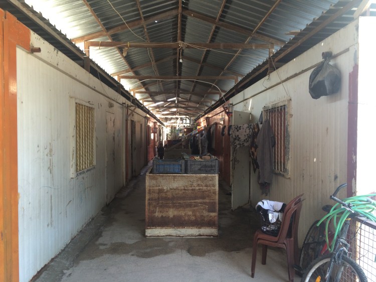Inside the precarious barracks of Nahr el-Bared (c) S. Fogliata