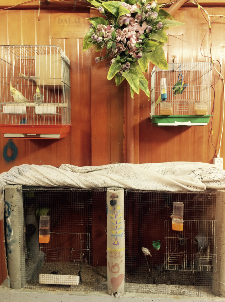 Bird Cages Pervade the Barrack Spaces