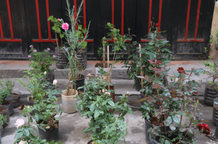 Screen Shot 2017-06-26 at 18.42.41