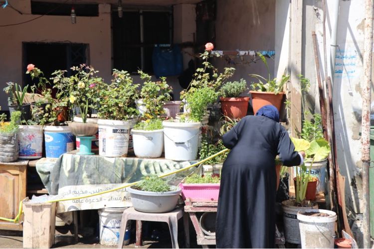 Woman watering flowers