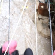 a-baddawi-dec2016-jan2017-075-2-2