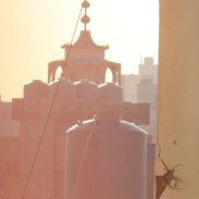 baddawi-dec2016-jan2017-111-e1516609902248