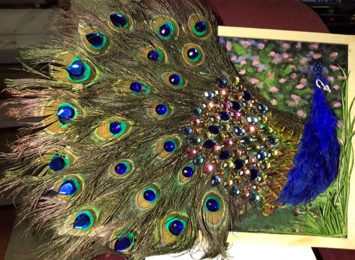 Nedhals Peacock